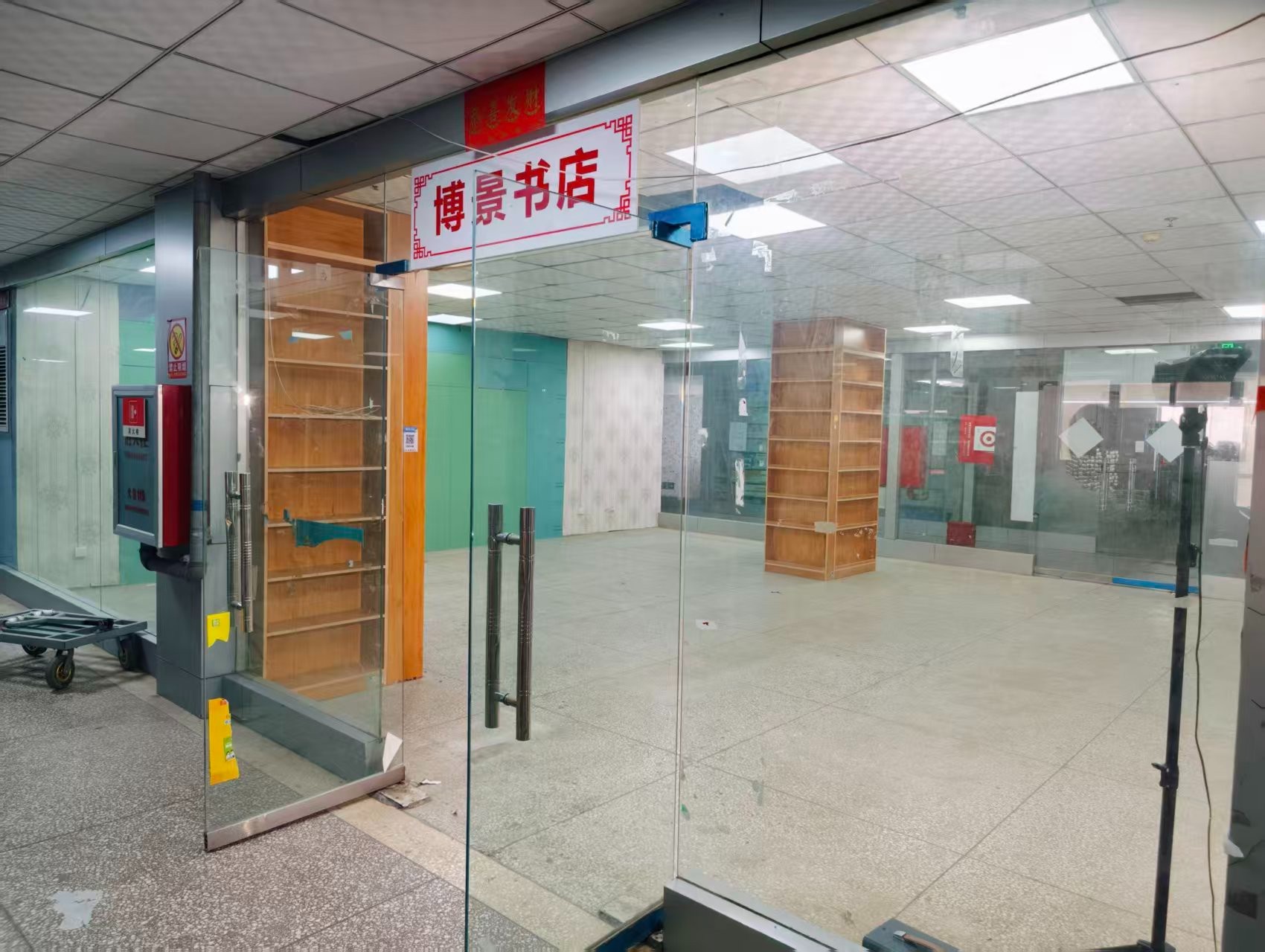 银杏路AI浪潮已至，优质企业抢先布局