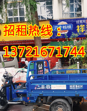 银杏路1